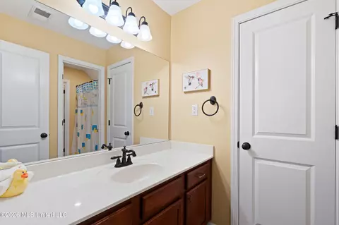 Bath - 2157 Hemmingway Dr, Nesbit, MS 38651 photo 5 of 7
