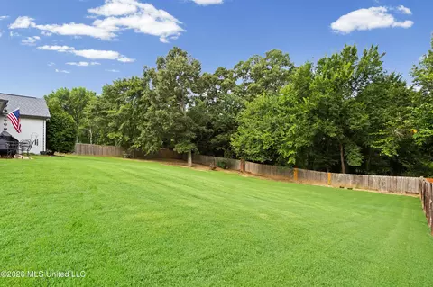 Exterior - 2157 Hemmingway Dr, Nesbit, MS 38651 photo 11 of 12