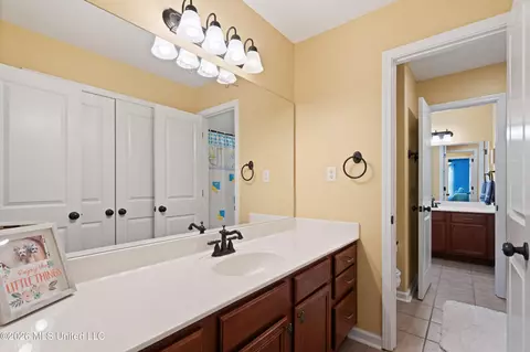 Bath - 2157 Hemmingway Dr, Nesbit, MS 38651 photo 6 of 7