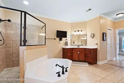 Bath - 2157 Hemmingway Dr, Nesbit, MS 38651 photo 2 of 7
