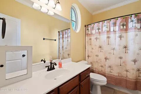 Bath - 2157 Hemmingway Dr, Nesbit, MS 38651 photo 4 of 7