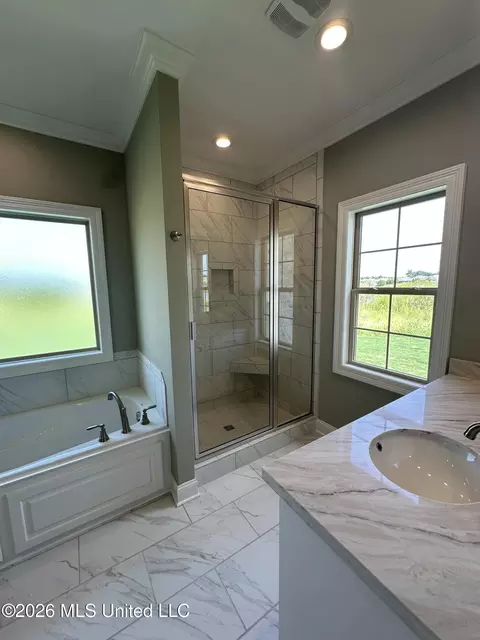 Bath - 412 Maple Cv, Madison, MS 39110 photo 1 of 8