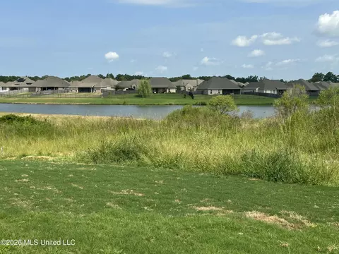 View/Area - 412 Maple Cv, Madison, MS 39110 photo 1 of 1