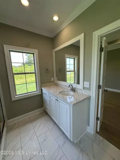Bath - 412 Maple Cv, Madison, MS 39110 photo 4 of 8