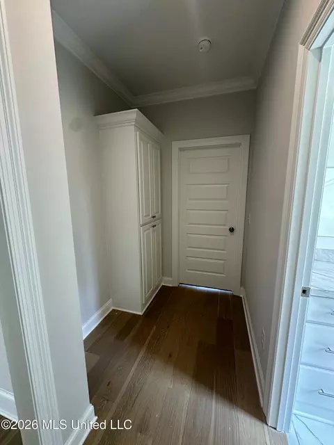 Entry Way - 412 Maple Cv, Madison, MS 39110 photo 3 of 3