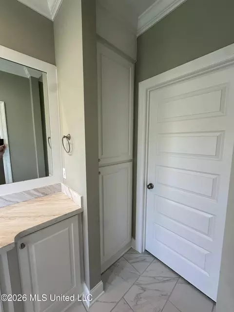 Bath - 412 Maple Cv, Madison, MS 39110 photo 6 of 8