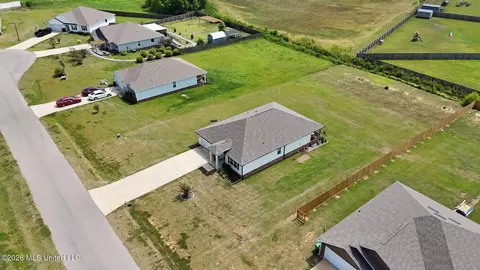 View/Area - 133 Mulberry Dr, Lucedale, MS 39452 photo 4 of 4