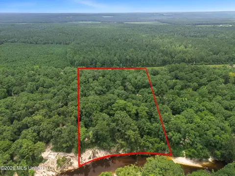 Shep Batson Road, Wiggins, MS 39577 photo 2