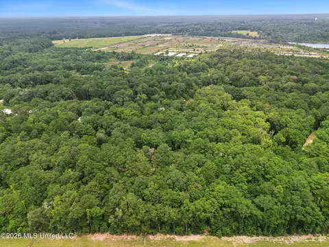 Shep Batson Road, Wiggins, MS 39577 photo 12