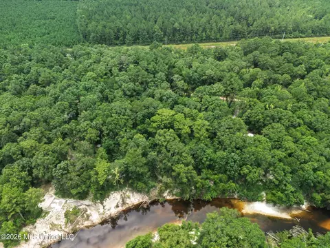 Shep Batson Road, Wiggins, MS 39577 photo 3