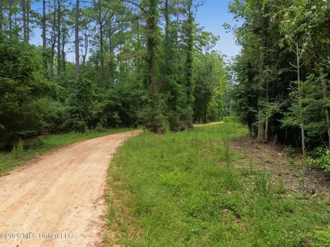 Shep Batson Road, Wiggins, MS 39577 photo 10