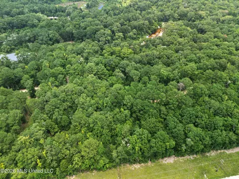Shep Batson Road, Wiggins, MS 39577 photo 13