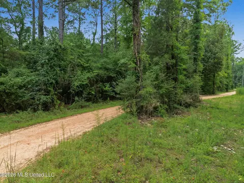 Shep Batson Road, Wiggins, MS 39577 photo 9