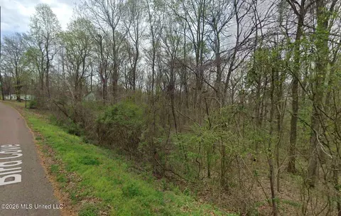 3768 Bird Cv, Hernando, MS 38632 photo 3