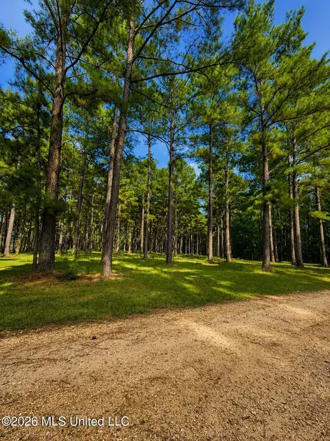 Other - 152 Brooksberg Dr, Magee, MS 39111 photo 6 of 10