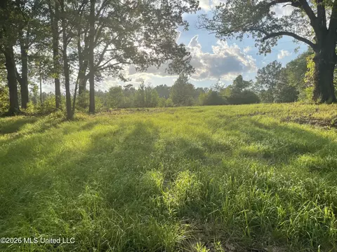 Roberts Lane, Wesson, MS 39191 photo 7