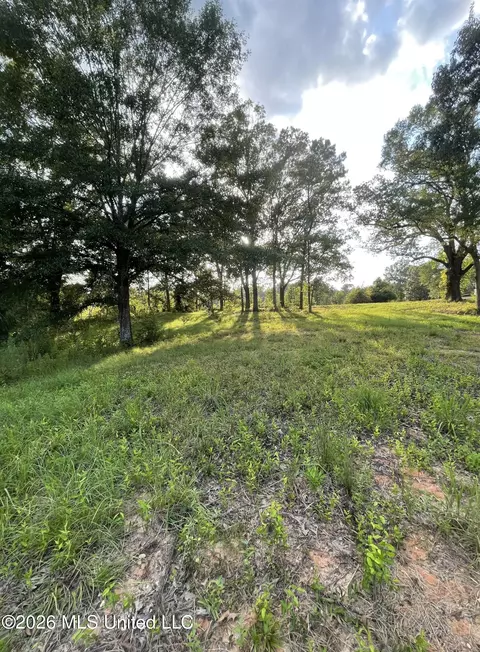 Roberts Lane, Wesson, MS 39191 photo 5