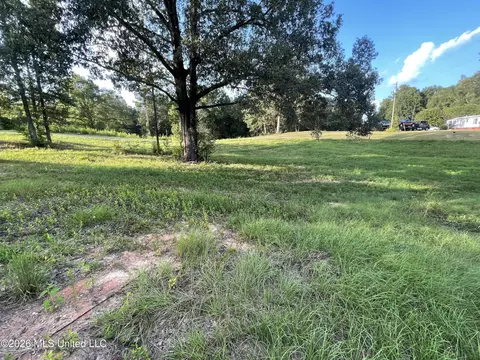 Roberts Lane, Wesson, MS 39191 photo 4