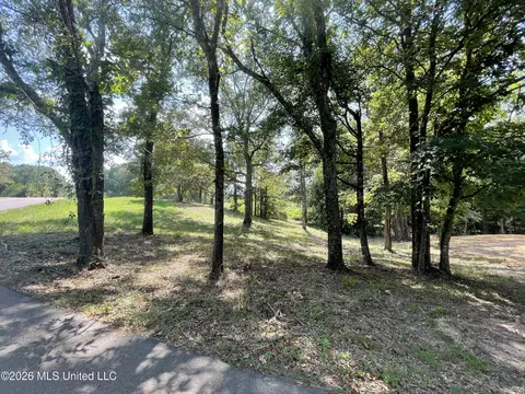 Roberts Lane, Wesson, MS 39191 photo 3