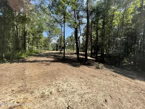 Roberts Lane, Wesson, MS 39191 photo 6