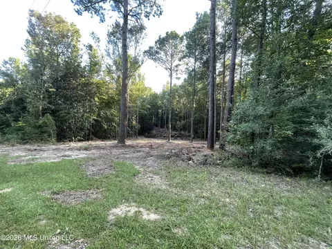 Roberts Lane, Wesson, MS 39191 photo 10