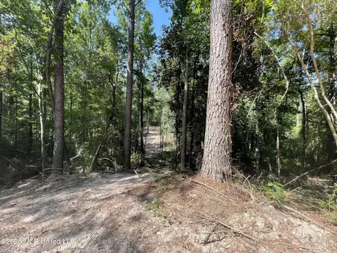 Roberts Lane, Wesson, MS 39191 photo 7