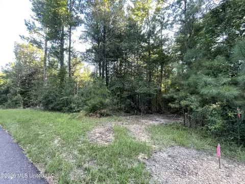 Roberts Lane, Wesson, MS 39191 photo 11