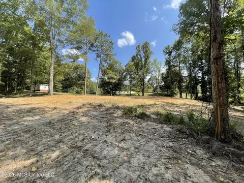 Roberts Lane, Wesson, MS 39191 photo 4