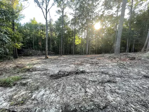 Roberts Lane, Wesson, MS 39191 photo 9