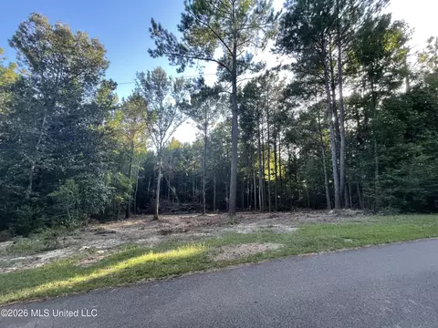 Roberts Lane, Wesson, MS 39191 photo 8