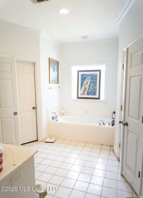 Bath - 2004 Brookstone Pl, Brandon, MS 39042 photo 1 of 3