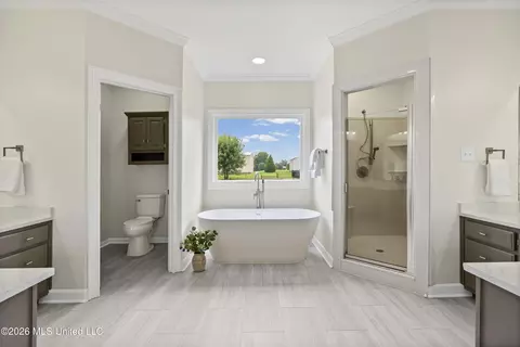 Bath - 1890 Green Village Dr, Hernando, MS 38632 photo 2 of 7