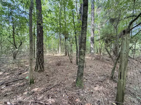 2435 Brignall Rd, Brookhaven, MS 39601 photo 15