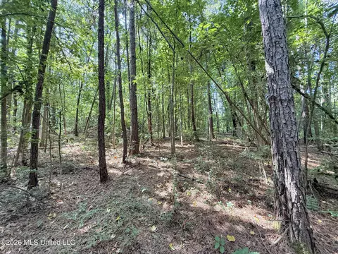2435 Brignall Rd, Brookhaven, MS 39601 photo 12