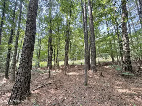 2435 Brignall Rd, Brookhaven, MS 39601 photo 17