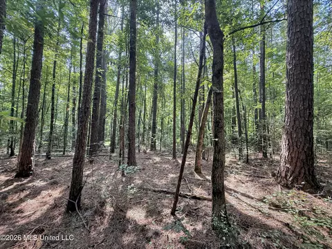 2435 Brignall Rd, Brookhaven, MS 39601 photo 10