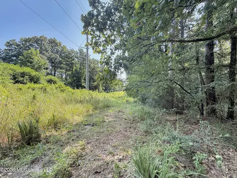 2435 Brignall Rd, Brookhaven, MS 39601 photo 14