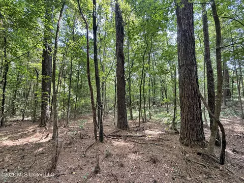 2435 Brignall Rd, Brookhaven, MS 39601 photo 16