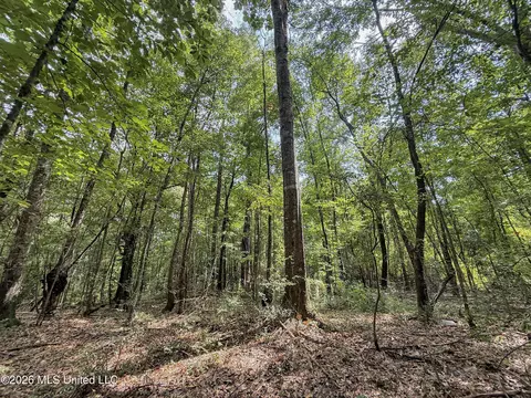2435 Brignall Rd, Brookhaven, MS 39601 photo 19