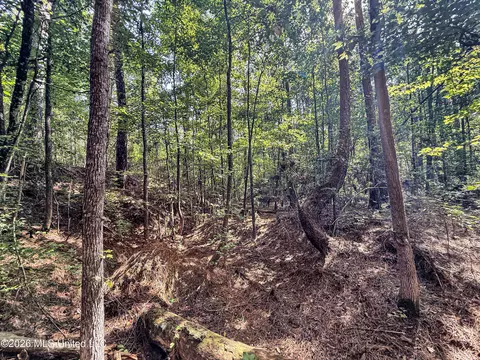 2435 Brignall Rd, Brookhaven, MS 39601 photo 13