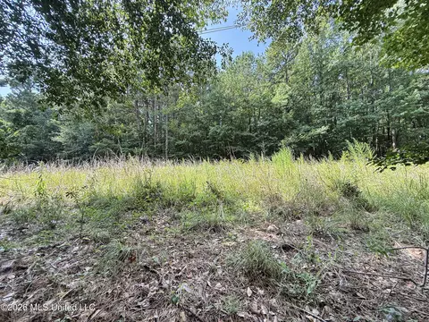2435 Brignall Rd, Brookhaven, MS 39601 photo 18