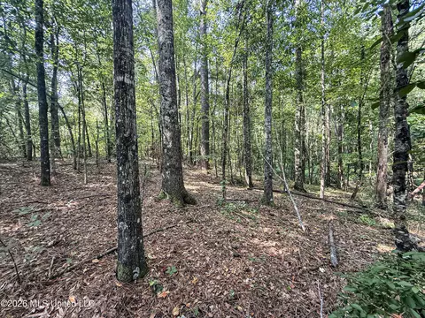 2435 Brignall Rd, Brookhaven, MS 39601 photo 8