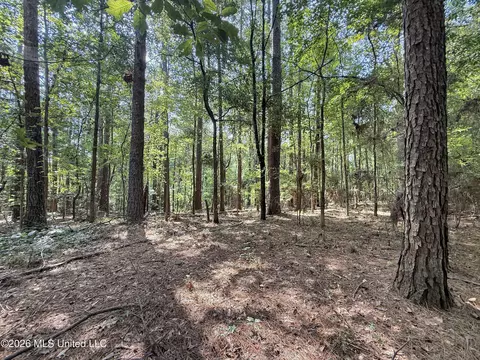 2435 Brignall Rd, Brookhaven, MS 39601 photo 9