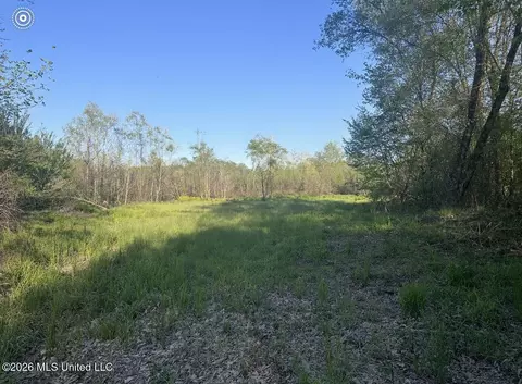 00 Midway Odom Rd, Forest, MS 39074 photo 5