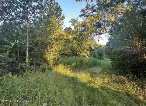 00 Midway Odom Rd, Forest, MS 39074 photo 4