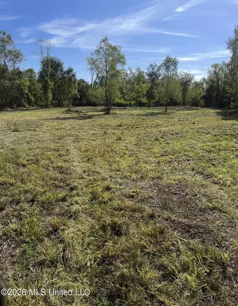 00 Midway Odom Rd, Forest, MS 39074 photo 8