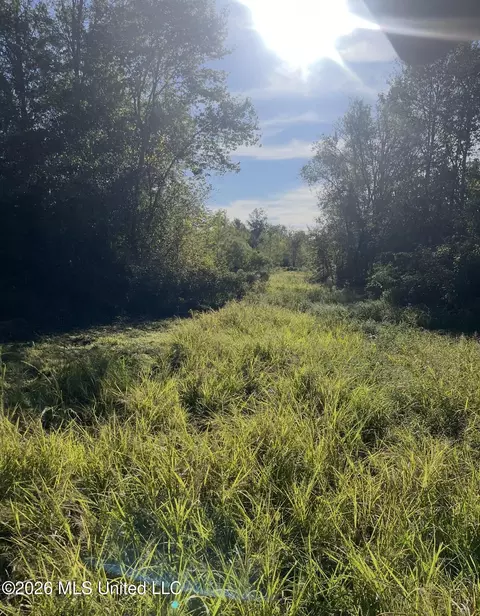 00 Midway Odom Rd, Forest, MS 39074 photo 7