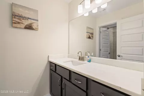 Bath - 6763 W Sunrise Loop, Olive Branch, MS 38654 photo 4 of 4