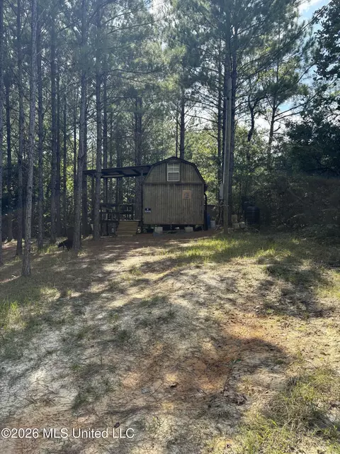259 Forest Lake Rd, Beaumont, MS 39423 photo 9