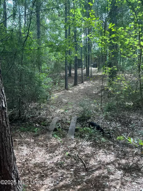 259 Forest Lake Rd, Beaumont, MS 39423 photo 22